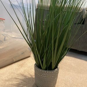 Brand new never used silver planter with greenery